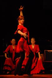 Compaa flamenca del  mar